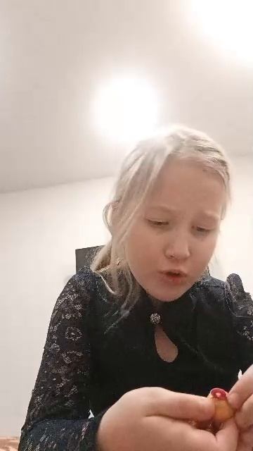 аниматроник 2