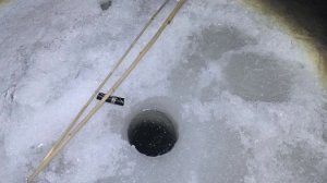 ОСТАВИЛИ ПОДЛЕДНИКИ В НОЧЬ, и вот что увидели утром!