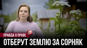 Купили участок под дом, а сделали бизнес — теперь так нельзя: новый закон готовит