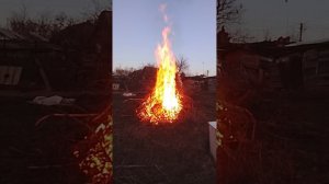 огонь 🔥 
на 70 подписчиков спалю имя пса