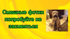 Попробуй не засмеяться 🤣🤣🤣