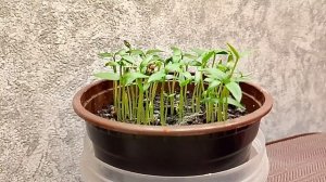 Молодой специалист. Страничка надежды