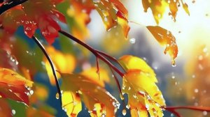 Вот это Удача!