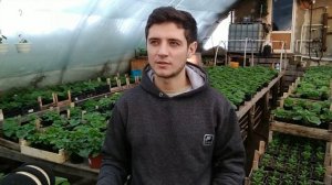 Не стоило сажать эту культуру