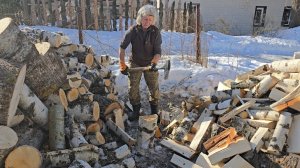 Солярий у Избушки, серая непоседа и великолепие ранней весны