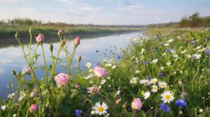 Пусть распускаются цветы