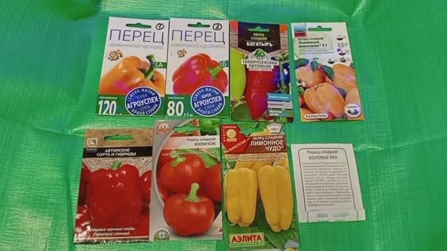 ПОСЕВ СЛАДКИХ ПЕРЦЕВ 🌶️ Начало дачного сезона
