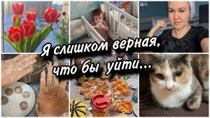 Слишком верная и преданная...🏖 Поедем ли на море в 2026?🥘 Готовлю тефтели с подливкой.