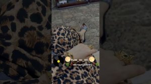 цыганская песня грустно музыка🌕Tum_hi_ho🌕
(2026)шавуралэ-щеялэ Шон лайкуря авормити подписка