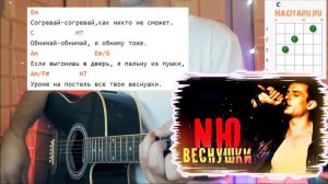 NЮ - ВЕСНУШКИ. Аккорды без баррэ, разбор на гитаре