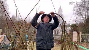 ПАВИВА Инструкция по посадке живой беседки из ивы и плетёные деревья в ромб.