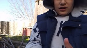 голуби часть 2