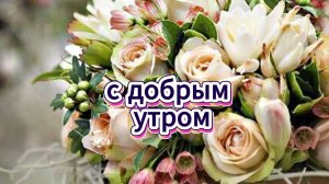 Красивые пожелания с добрым утром позитивного настроя ☀️🌸