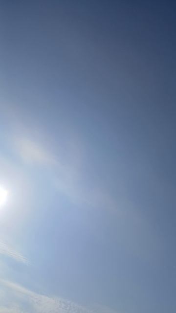 ПРИРОДА НЕ МОГЛА ПРИДУМАТЬ ЛУЧШЕ!