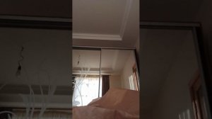 стрим на 10 пд