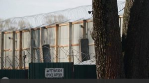 Адвокат Гриценко назвала основания для отмены условно-досрочного освобождения