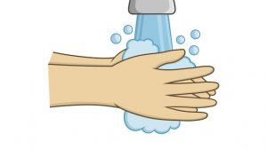 Мыльная пенка