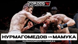 Нурмагомедов VS Мамука | TOP DOG 41, Новосибирск