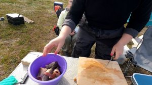 КАК ЖЕ ТАМ БЫЛО КРУТО!!! Воспоминания с Кольского полуострова