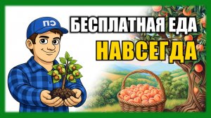 Посадите ЭТИ ДЕРЕВЬЯ и они будут кормить вас 300 лет