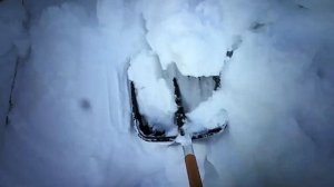 снежный плен откапываю пчел