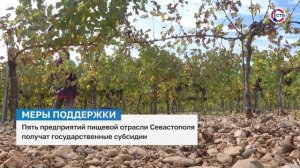 Пять севастопольских предприятий пищевой отрасли получат субсидии от государства
