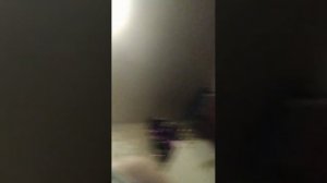 просто стрим