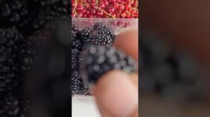 Календарь работ в саду и не только. Тема ежевика.