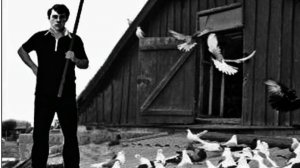 "Бедные голуби" муз. Алексей Познахарев,  сл. Александр Шаганов... кавер