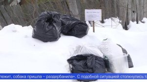 Жители частного сектора жалуются на мусор возле домов