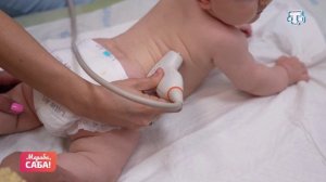 Рубрика «Юрист». Выпуск от 12.03.2026