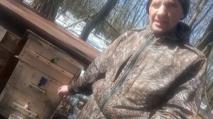 первые работы на пасеке перед облётом