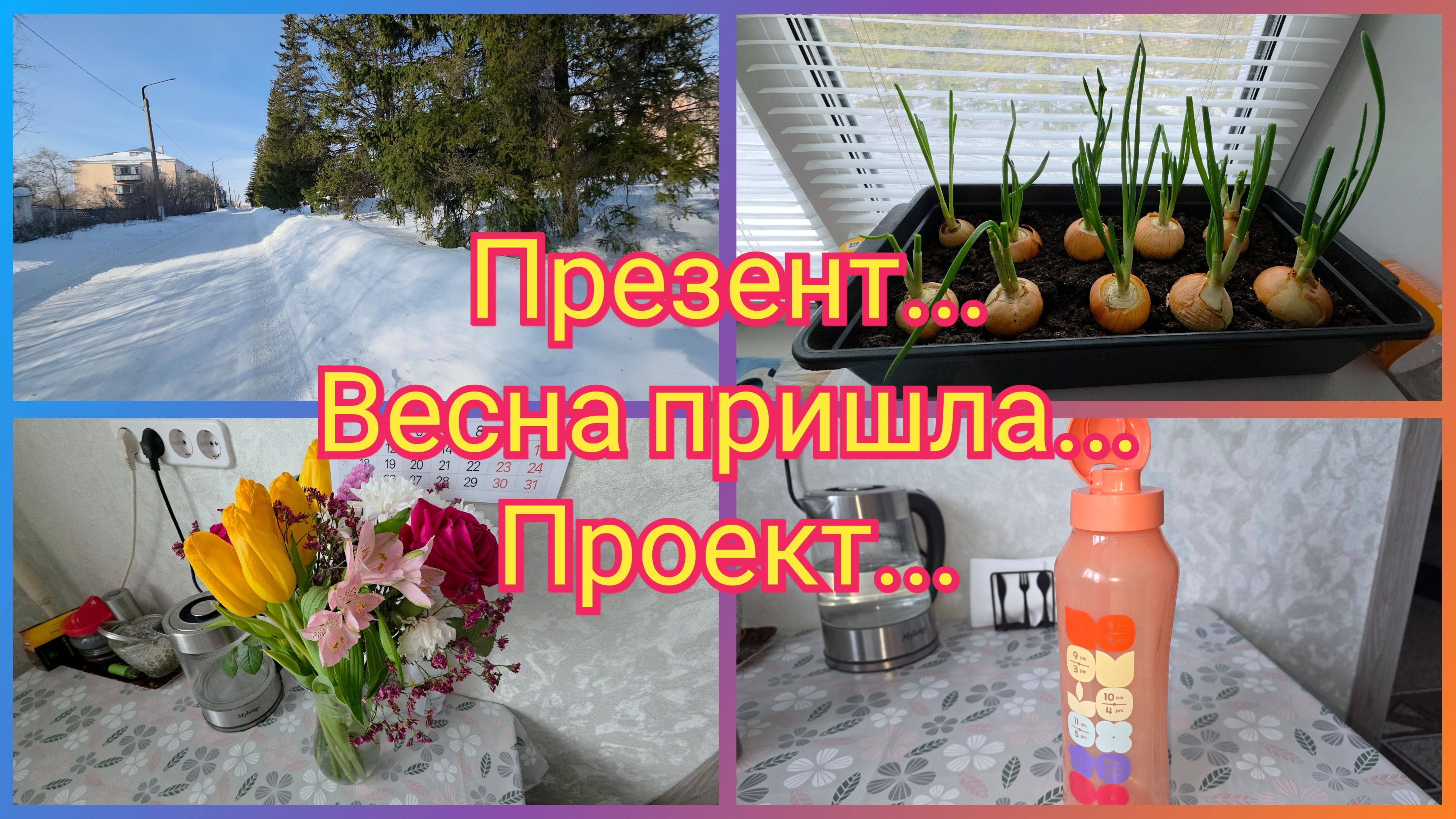 ЗАЩИТИЛ ПРОЕКТ! РАДУЮСЬ... ПРЕЗЕНТ ОТ ЗРИТЕЛЬНИЦЫ