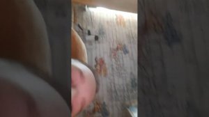 играю в бравл апаю 30k