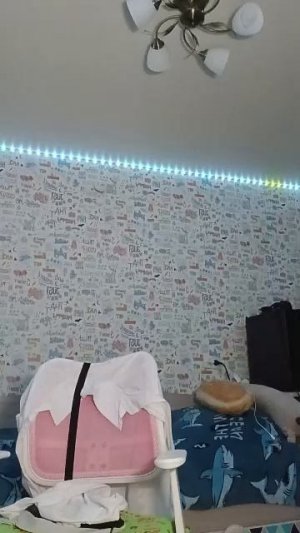 стрим-приборка