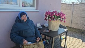 Сытники- Нападение пчёл на маму.