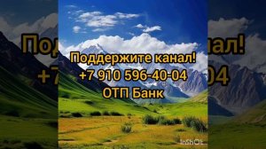 Анжелика Снежинская. Скандал с колористом. Предстоящая операция кота. Полная паника