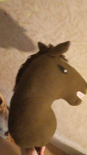 уроки по хоби хорсингу