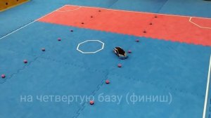 Правила соревнований по гонкам на радиоуправляемых машинках