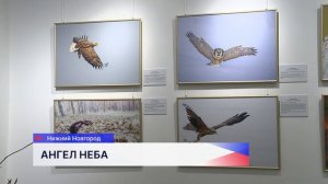 Выставка «Ангел неба» открылась в Русском музее фотографии