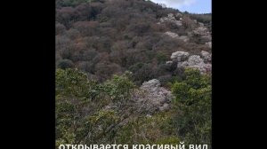 Япония-9 Арасияма