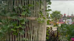 Как сегодня выглядит Сад чудес в Дубае. Dubai Miracle Garden.