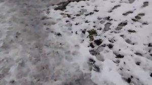 Komputersem идёт домой и считает автомобили с копейками 31012026 [get.gt]