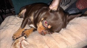 Самой доброй всем ночи и чудесных снов.