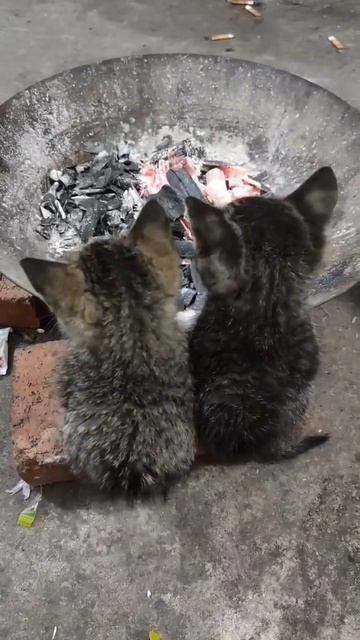 Ждем весеннего тепла