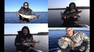 Спиннинг в середине марта // Щука - Судак - Окунь!!!