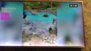 скинь видос