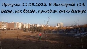 Прогулка 11.03.2026. В Волгограде +14. Весна, как всегда, приходит очень быстро