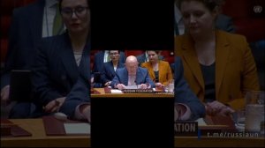 Про позорников из ООН