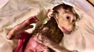 Вот такое СЧАСТЬЕ теперь живет с нами!